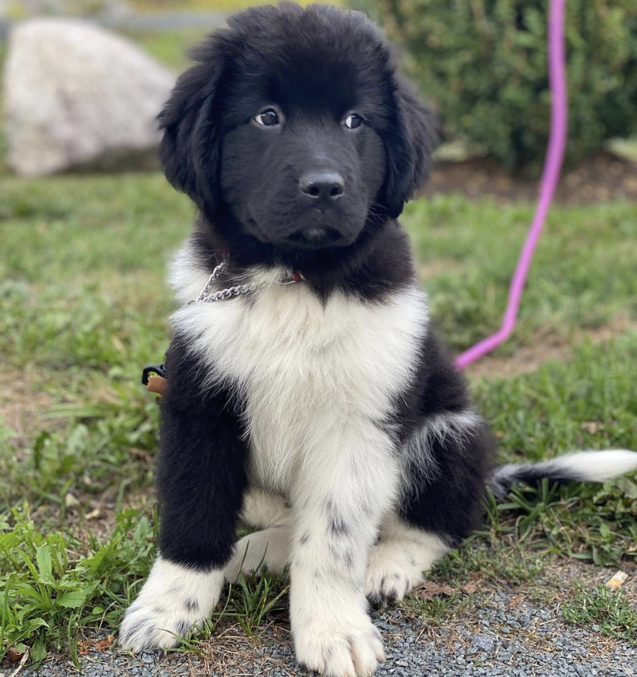 Mario. male Mario (Macho) - Imagen 1